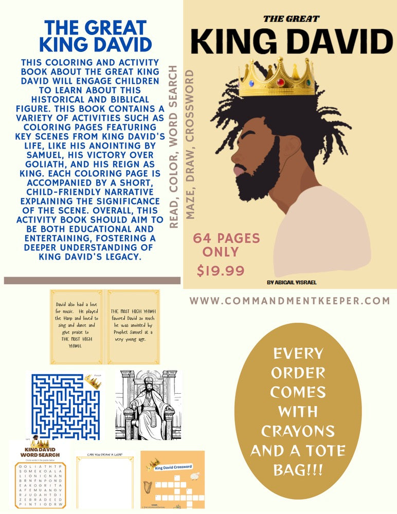 King David Children's Activity Book