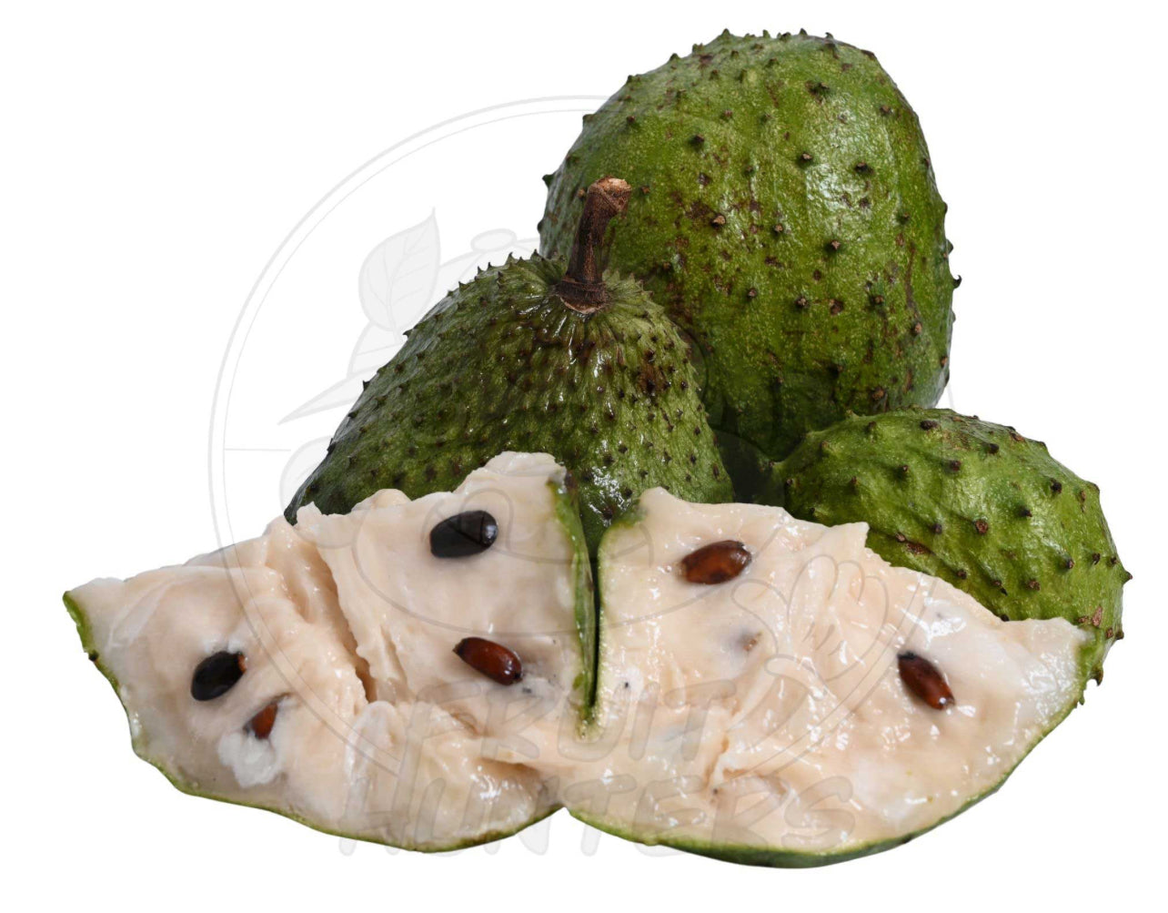 Organic Soursop Leaf Powder